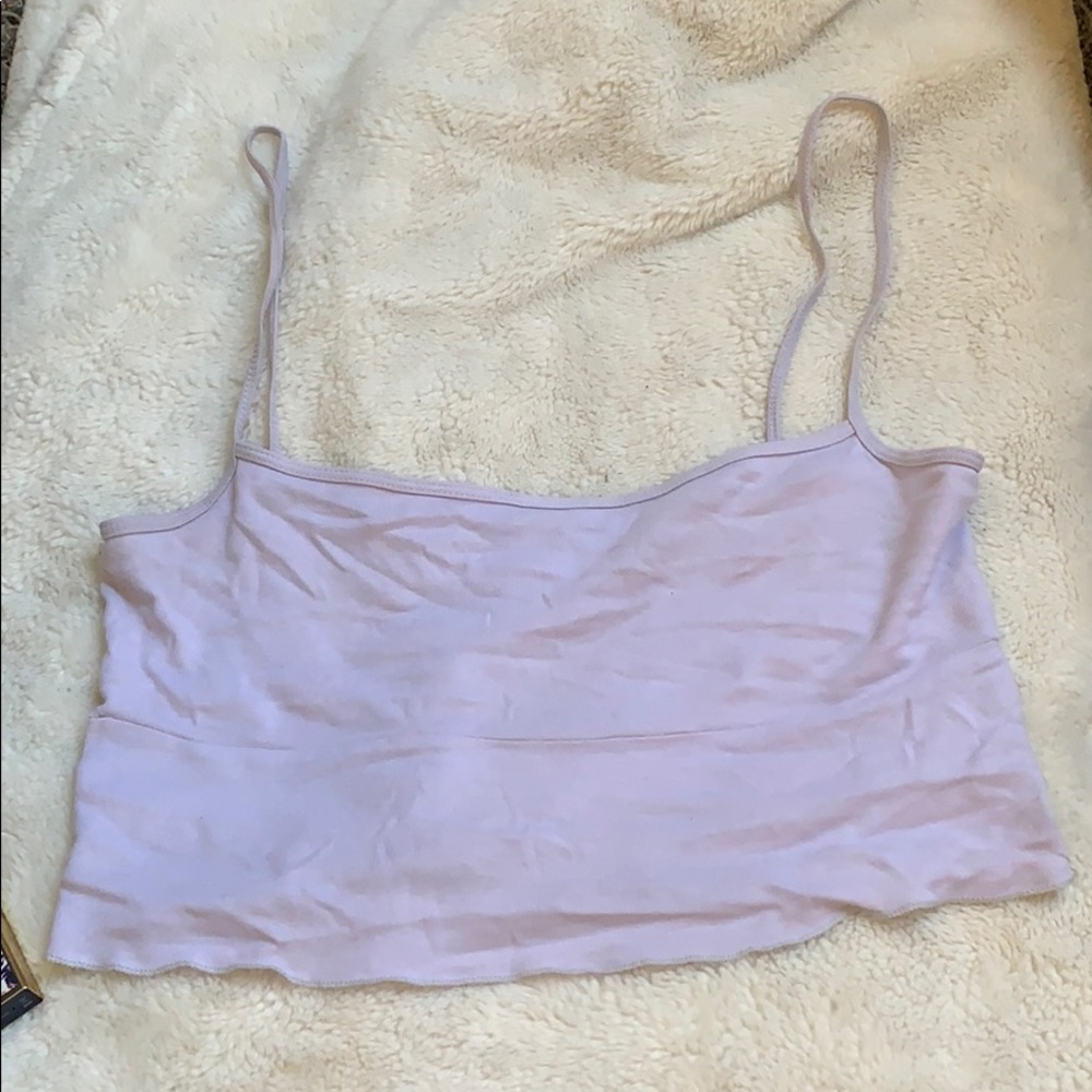 Lavender crop
